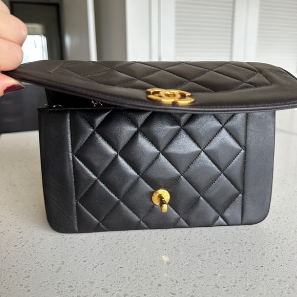 SOLD Vintage Chanel small diana lambskin bag - Picture 3 of 11